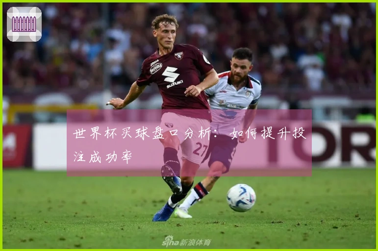世界杯买球盘口分析：如何提升投注成功率