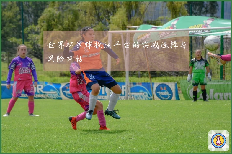 世界杯买球投注平台的实战选择与风险评估