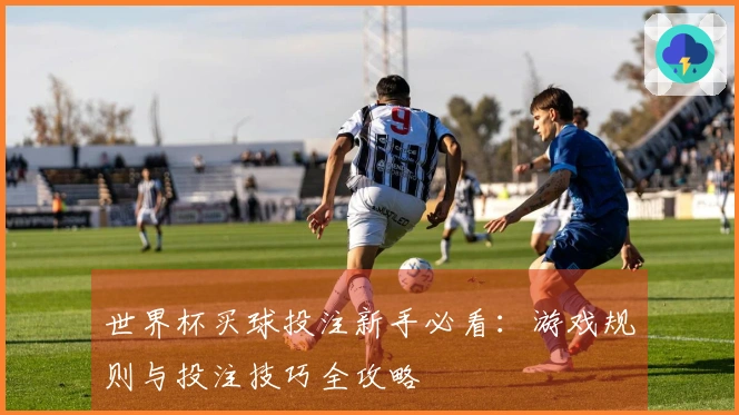世界杯买球投注新手必看：游戏规则与投注技巧全攻略