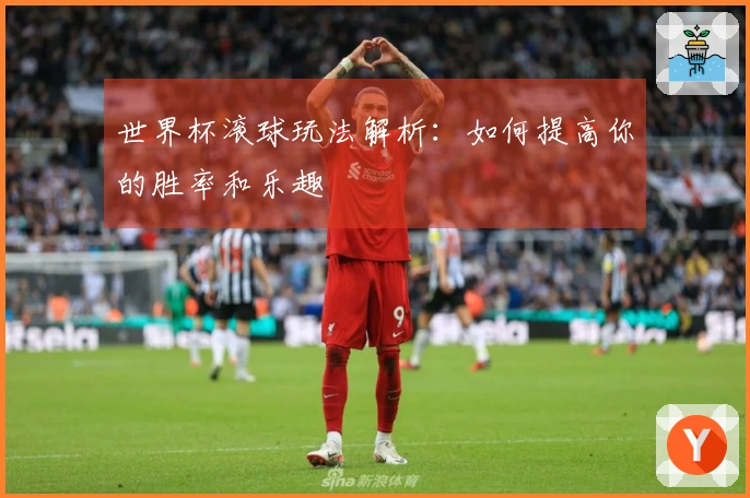 世界杯滚球玩法解析：如何提高你的胜率和乐趣