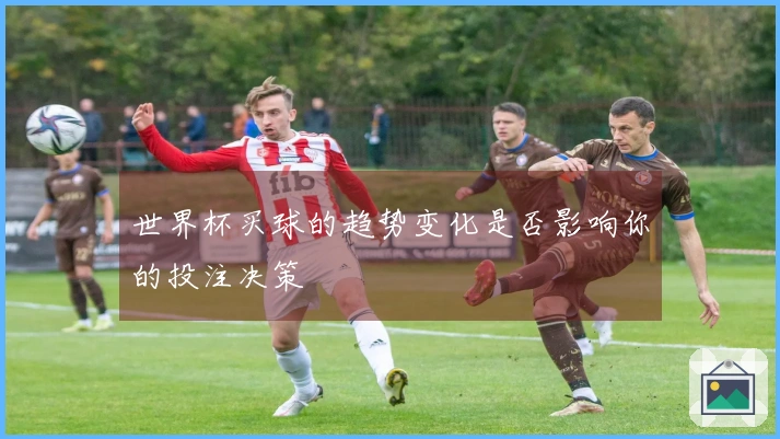 世界杯买球的趋势变化是否影响你的投注决策