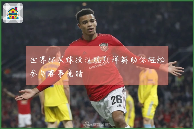 世界杯买球投注规则详解助你轻松参与赛事竞猜