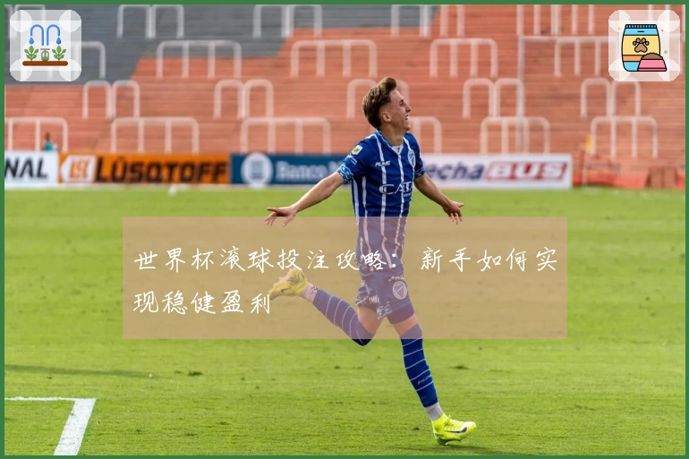 世界杯滚球投注攻略：新手如何实现稳健盈利