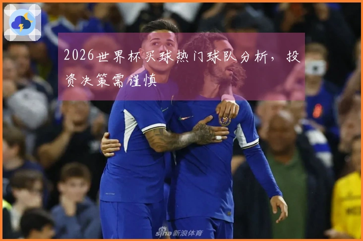 2026世界杯买球热门球队分析，投资决策需谨慎