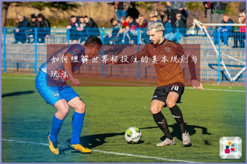 如何理解世界杯投注的基本规则与玩法