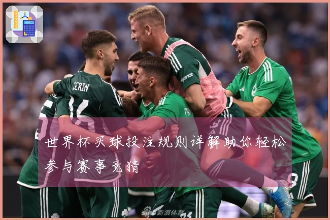 世界杯买球投注规则详解助你轻松参与赛事竞猜