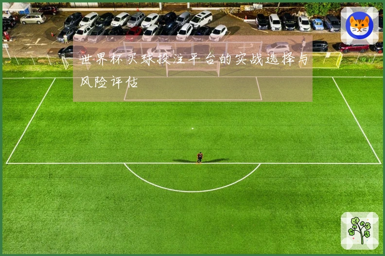 世界杯买球投注平台的实战选择与风险评估