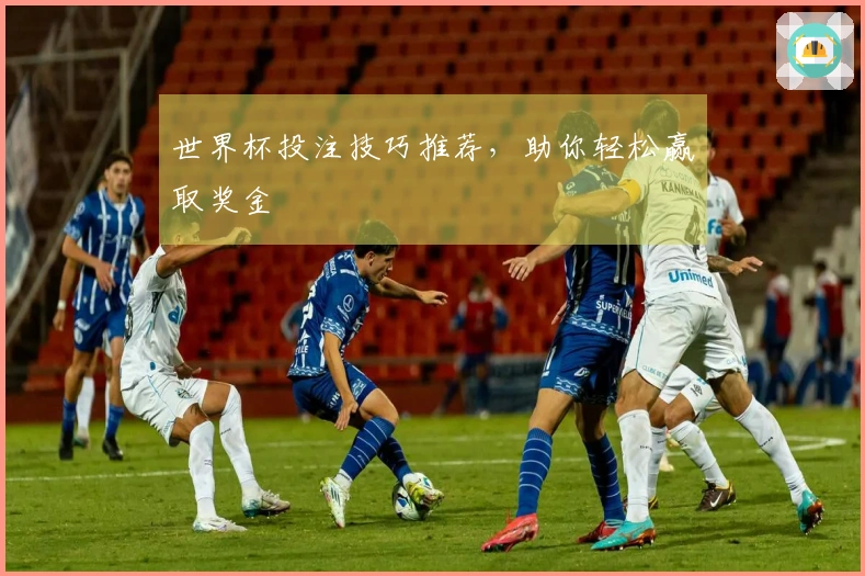 世界杯投注技巧推荐，助你轻松赢取奖金