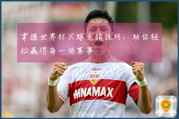 掌握世界杯买球竞猜技巧，助你轻松赢得每一场赛事